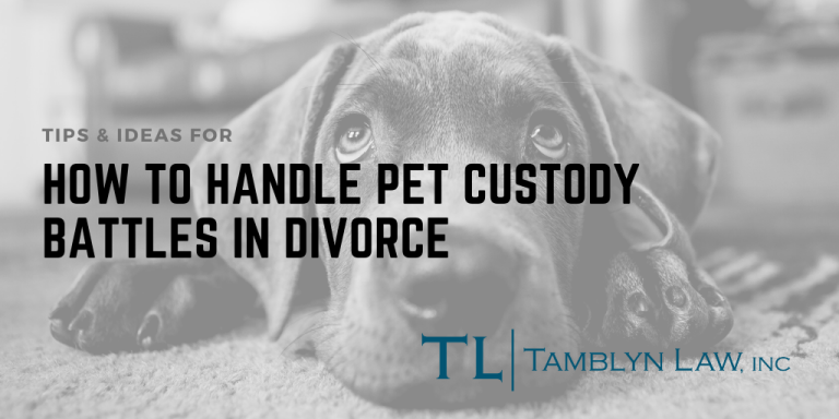 pet Custody